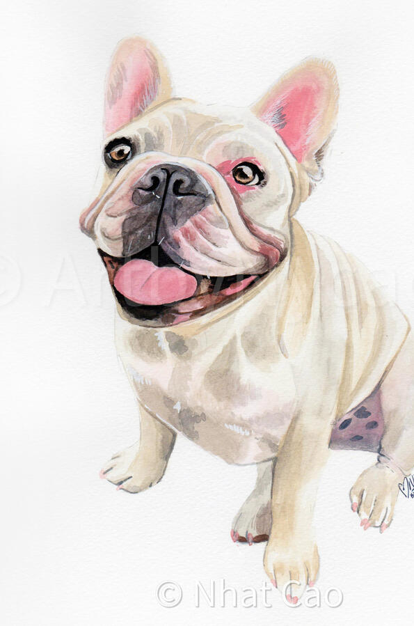 pet